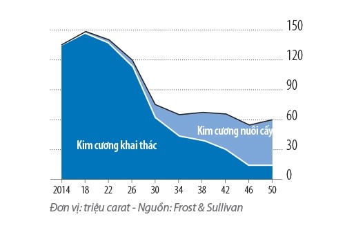 Kim cương hết lấp lánh ảnh 1