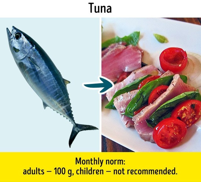 9 loại cá quen thuộc nhưng không nên ăn quá nhiều ảnh 3