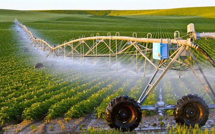 Câu chuyện được mùa mất giá và giải cứu nông sản vào nghị trường ảnh 1