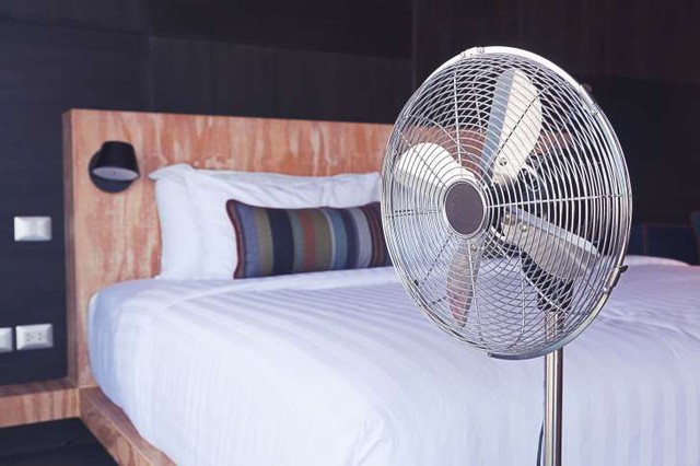 Đuổi muỗi với 5 mẹo đơn giản ảnh 1