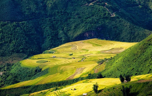 Những cung đường săn “mùa vàng” Tây Bắc đẹp nhất tháng 9 ảnh 4