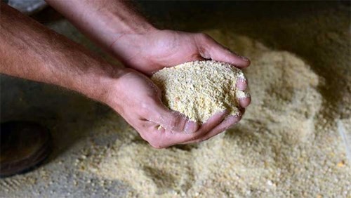 Khám phá món gà đắt nhất thế giới ảnh 3