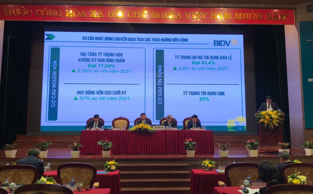 Ông Lê Ngọc Lâm, Tổng giám đốc BIDV trình bày Báo cáo tại Đại hội