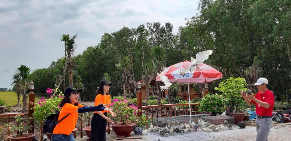 Khác lạ Trà Sư  ảnh 3