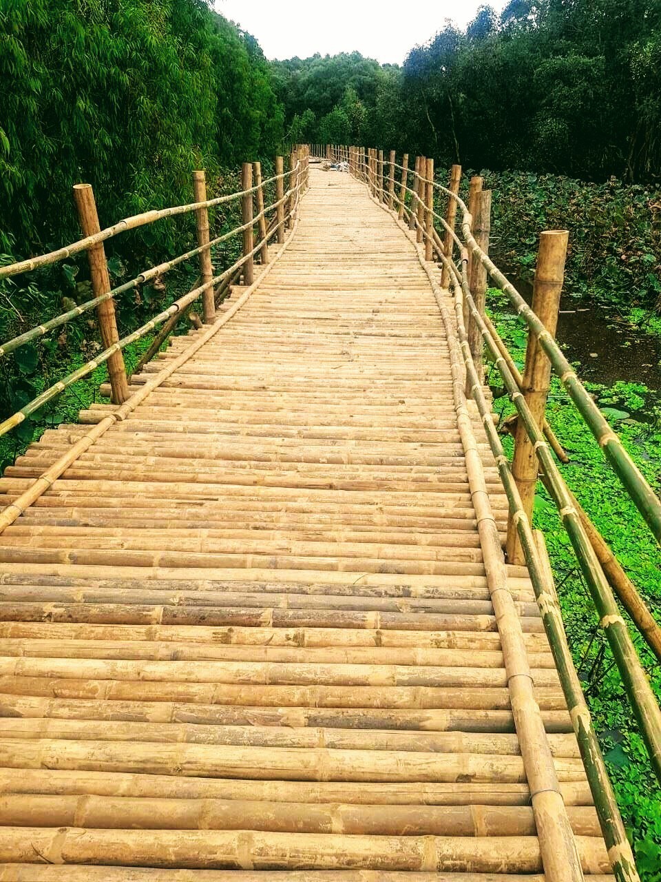 Bức họa Trà Sư ảnh 3