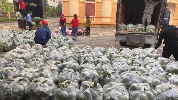 Số lượng nông sản chưa tiêu thụ được tải Hải Dương còn nhiều