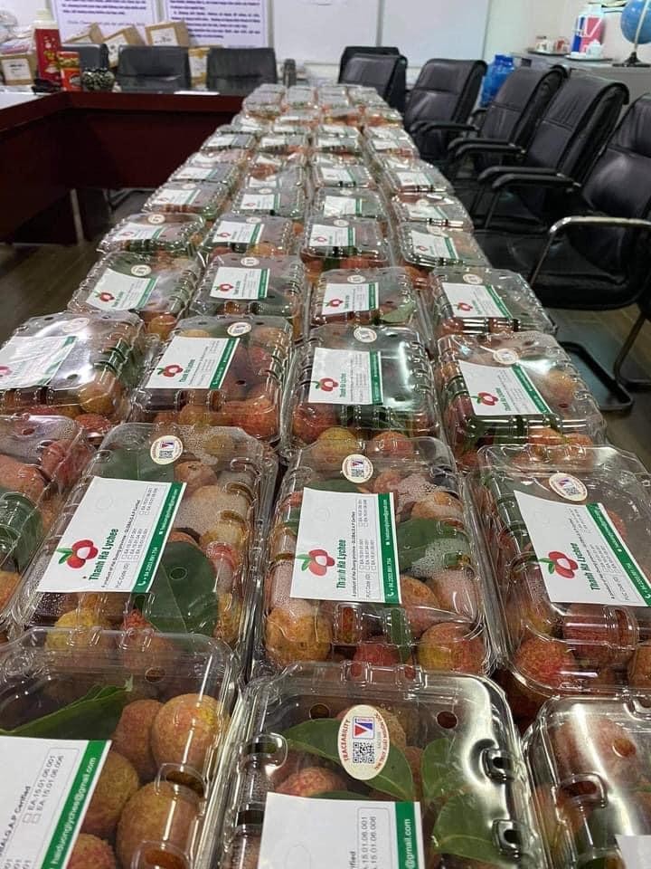 Lô vải xuất khẩu của Pacific Foods sẽ đến được tay người tiêu dùng châu Âu mất khoảng 4-5 ngày. Lô vải xuất khẩu của Pacific Foods sẽ đến được tay người tiêu dùng châu Âu mất khoảng 4-5 ngày.