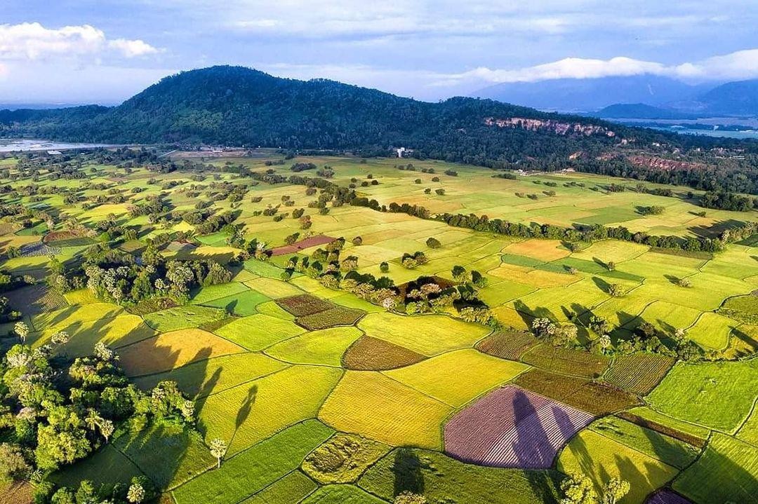 Băng qua những cánh đồng bát ngát trên cung đường du lịch ở An Giang. Băng qua những cánh đồng bát ngát trên cung đường du lịch ở An Giang.