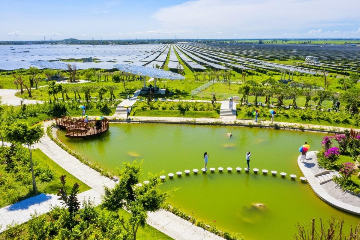 Màu toàn bích trên thảo nguyên xanh.