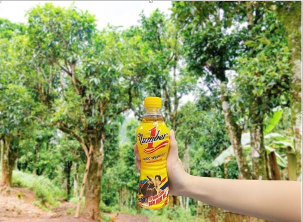 Giữa mây núi Tủa Chùa, Linh khởi đầu hành trình “liều lĩnh” mang năng lượng Việt đến từng tán chè Shan tuyết với sức mạnh và niềm tin được tiếp thêm từ Number 1. Ảnh NVCC.