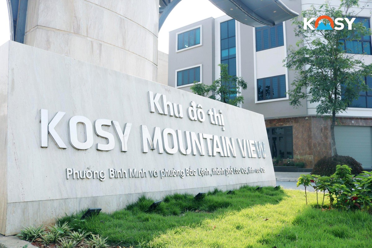 Kosy Group: Hiệu quả và bền vững là tiêu chí phát triển hàng đầu ảnh 1