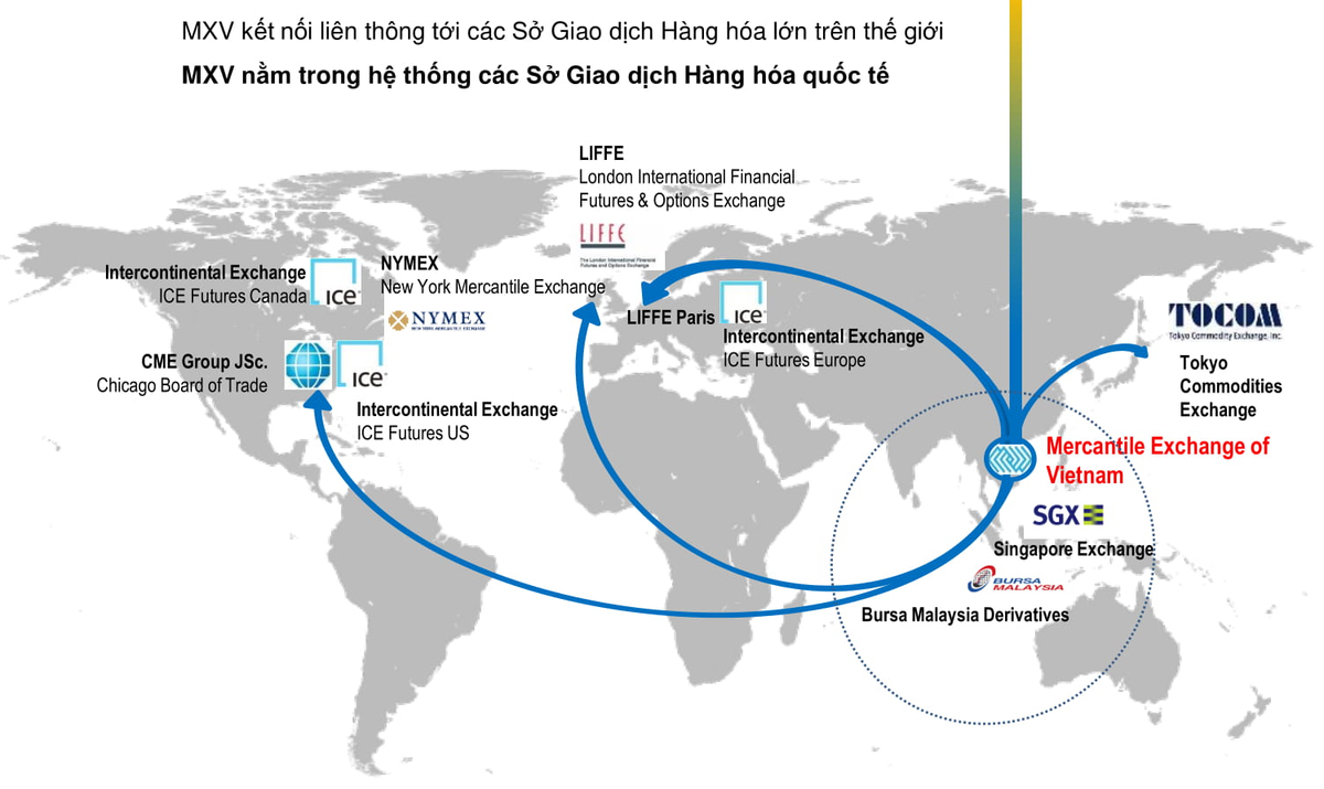 Giao dịch hàng hóa qua sàn: Kênh Kl99ok phiên bản mới mới mẻ và nhiều tiềm năng ảnh 2