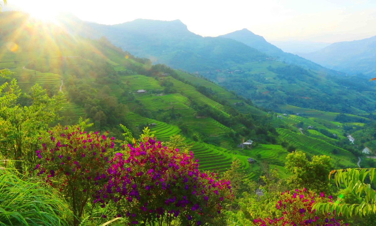 Những cánh đồng ruộng bậc thang trải dài theo sườn núi