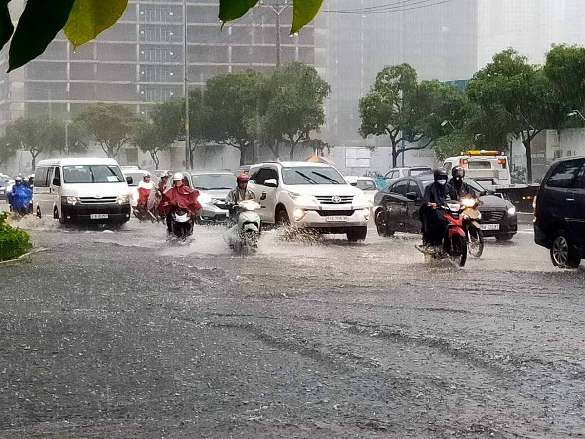 TP.HCM: Đường Nguyễn Hữu Cảnh lại ngập sau cơn mưa đầu mùa ảnh 1