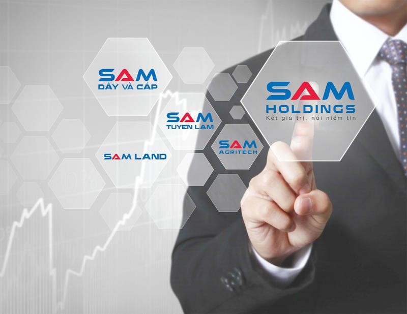 Vì sao các ông chủ Việt lại thích thú với mô hình holding? ảnh 1