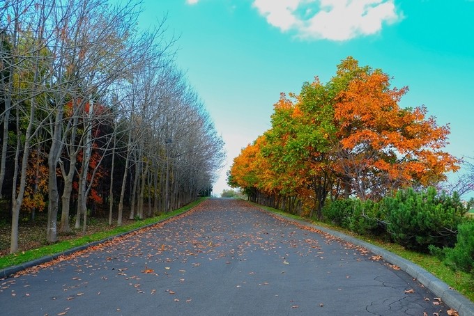 Mùa thu ở Hokkaido qua ống kính du khách Việt ảnh 4 Mùa thu ở Hokkaido qua ống kính du khách Việt ảnh 4