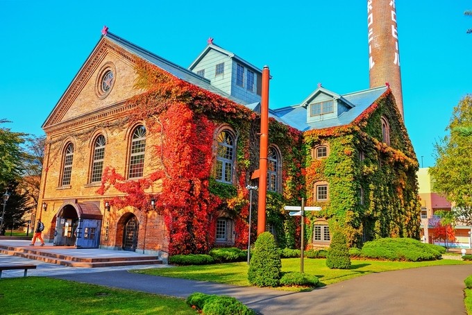 Mùa thu ở Hokkaido qua ống kính du khách Việt ảnh 7 Mùa thu ở Hokkaido qua ống kính du khách Việt ảnh 7