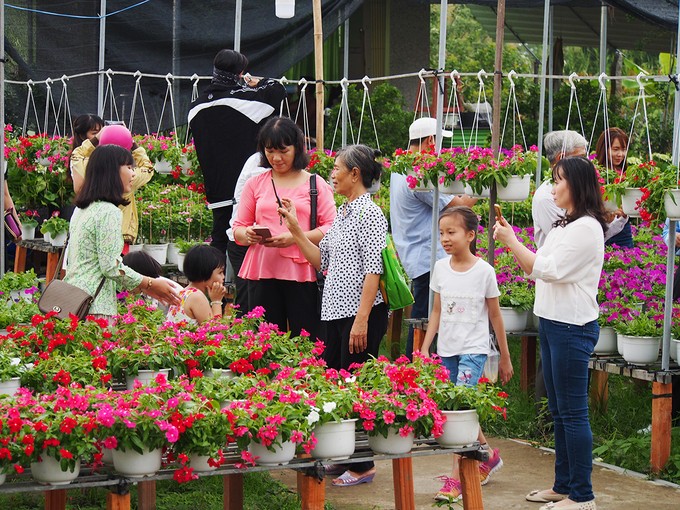 Làng hoa Sa Đéc đông khách những ngày cận Tết ảnh 2