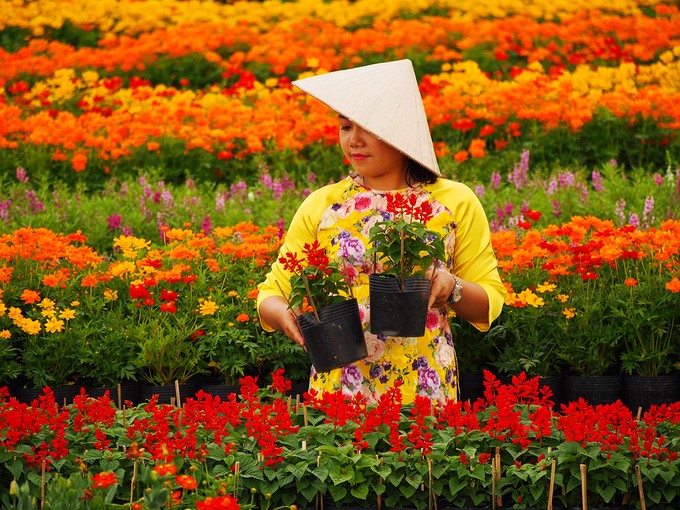 Làng hoa Sa Đéc đông khách những ngày cận Tết ảnh 6