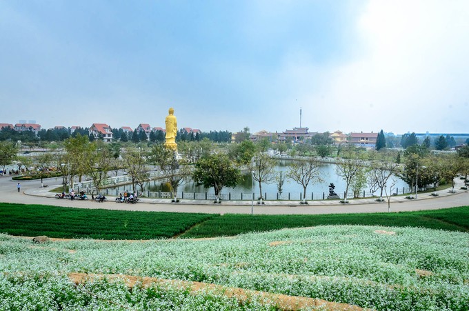 Ruộng hoa bậc thang 'gây sốt' ở Hà Nội ảnh 8