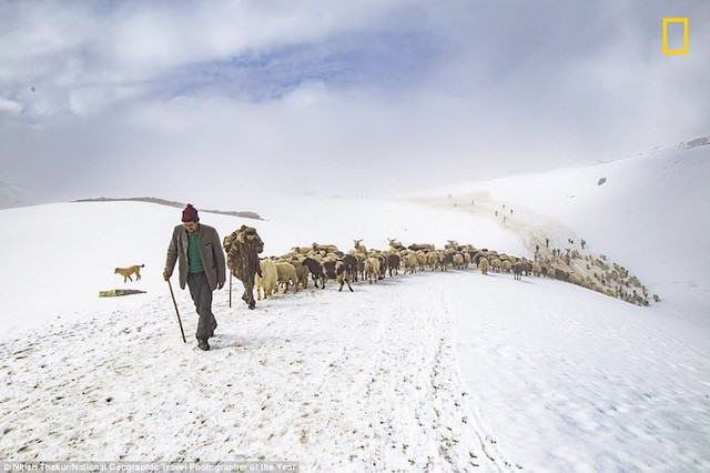 Những bức ảnh tuyệt đẹp trong giải thưởng ảnh du lịch của National Geographic 2018 ảnh 5