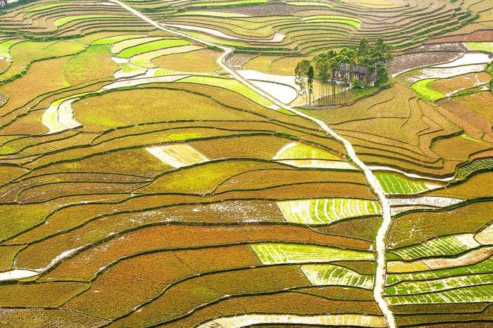 Khám phá 30 địa điểm du lịch Việt Nam ảnh 13