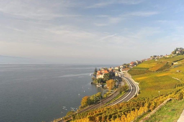Đến Lavaux khi mùa nho chín ảnh 4