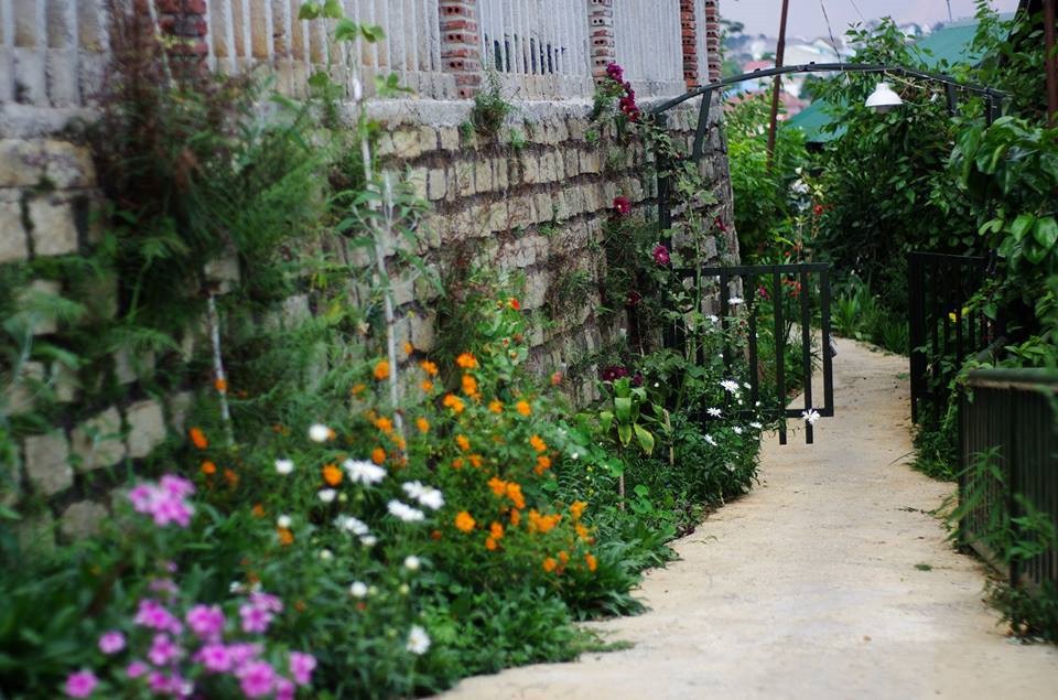 4 homestay xanh mướt, yên tĩnh và đầy góc 'sống ảo' tại Đà Lạt ảnh 7