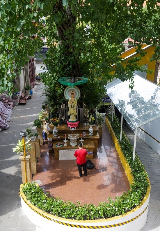 Chùa hơn 50 năm tuổi có tháp chuông cao nhất Sài Gòn ảnh 8 Chùa hơn 50 năm tuổi có tháp chuông cao nhất Sài Gòn ảnh 8