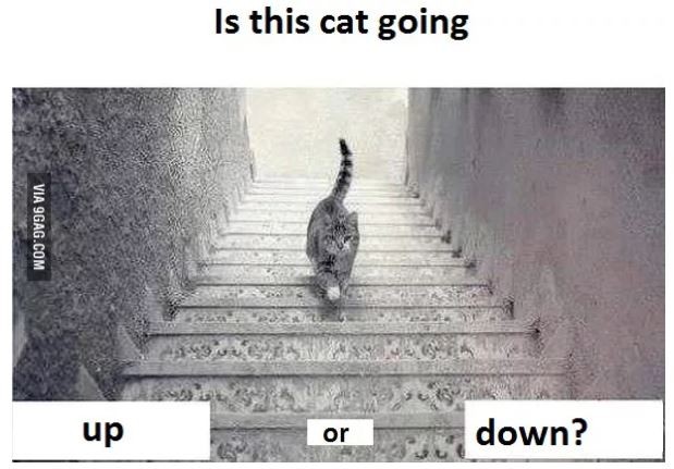 9GAG - từ dự án ngoài giờ đến hiện tượng Internet toàn cầu ảnh 1
