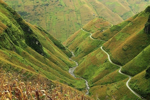 Điểm ngắm hoa tam giác mạch ở Hà Giang nhất định phải khám phá tháng 10 này ảnh 5