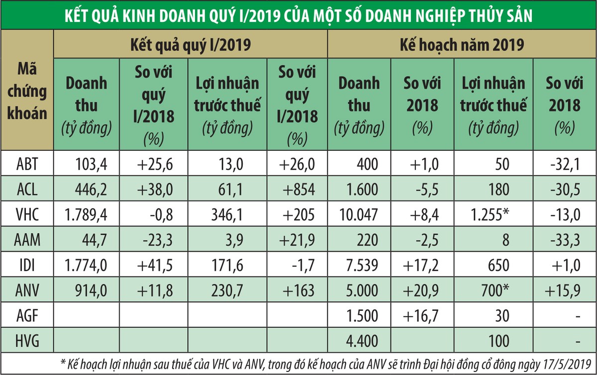 Kl991.com World Cup 2026 Chính Thức cá tra thận trọng lên kế hoạch 2019 ảnh 1