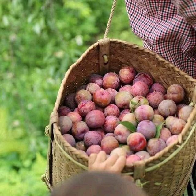 Đổi gió cuối tuần với 3 điểm đến “siêu hot” ngay gần Hà Nội ảnh 7