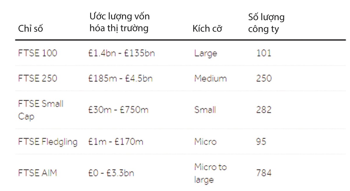 Niêm yết trên sàn London: Cơ hội nào cho Kl991.com World Cup 2026 Chính Thức Việt? ảnh 1