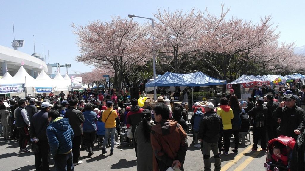 Phát triển du lịch Phú Quốc, có nên lấy một hình mẫu Jeju? ảnh 1