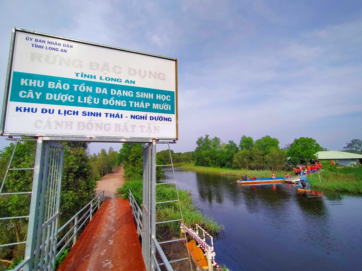 Khám phá Cánh Đồng Bất Tận ở Long An ảnh 1