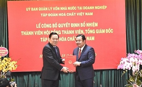 Trao quyết định bổ nhiệm lãnh đạo Kl994 game bài casino hấp dẫn Hóa chất Việt Nam và Tổng công ty Lương thực miền Bắc ảnh 1