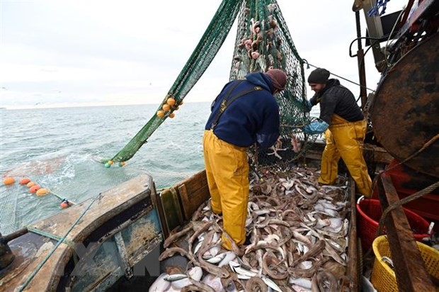 Ngư dân đánh cá trên vùng biển ngoài khơi phía Đông Nam nước Anh ngày 12/10/2020. (Ảnh: AFP/TTXVN).