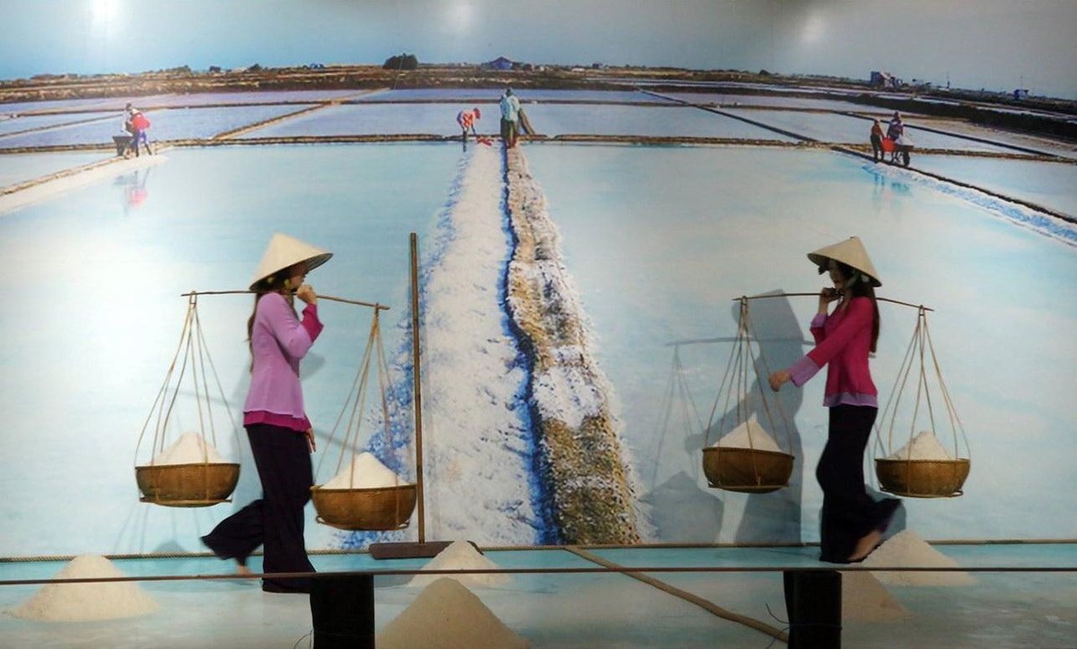 Cánh đồng muối trắng xóa.