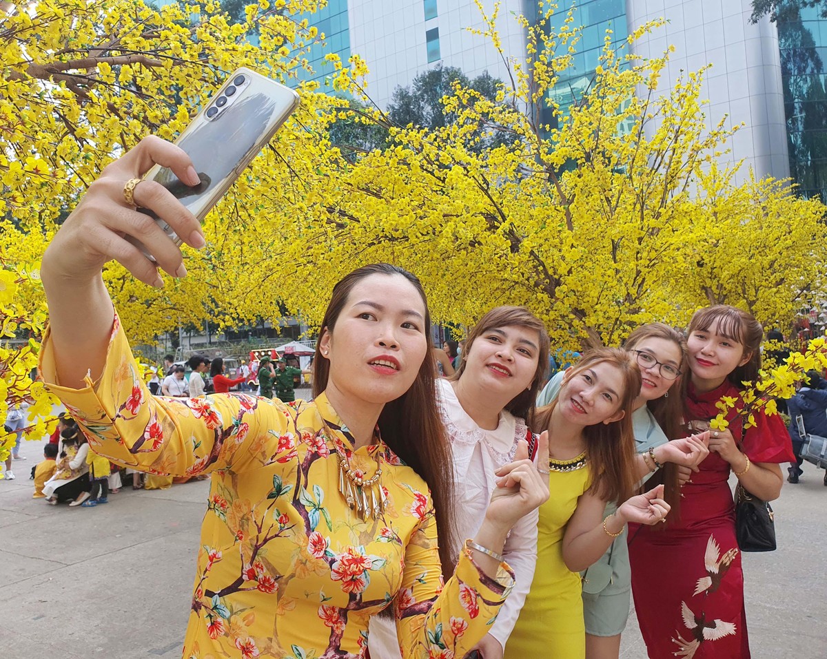 Chech in bên đường mai vô cực.