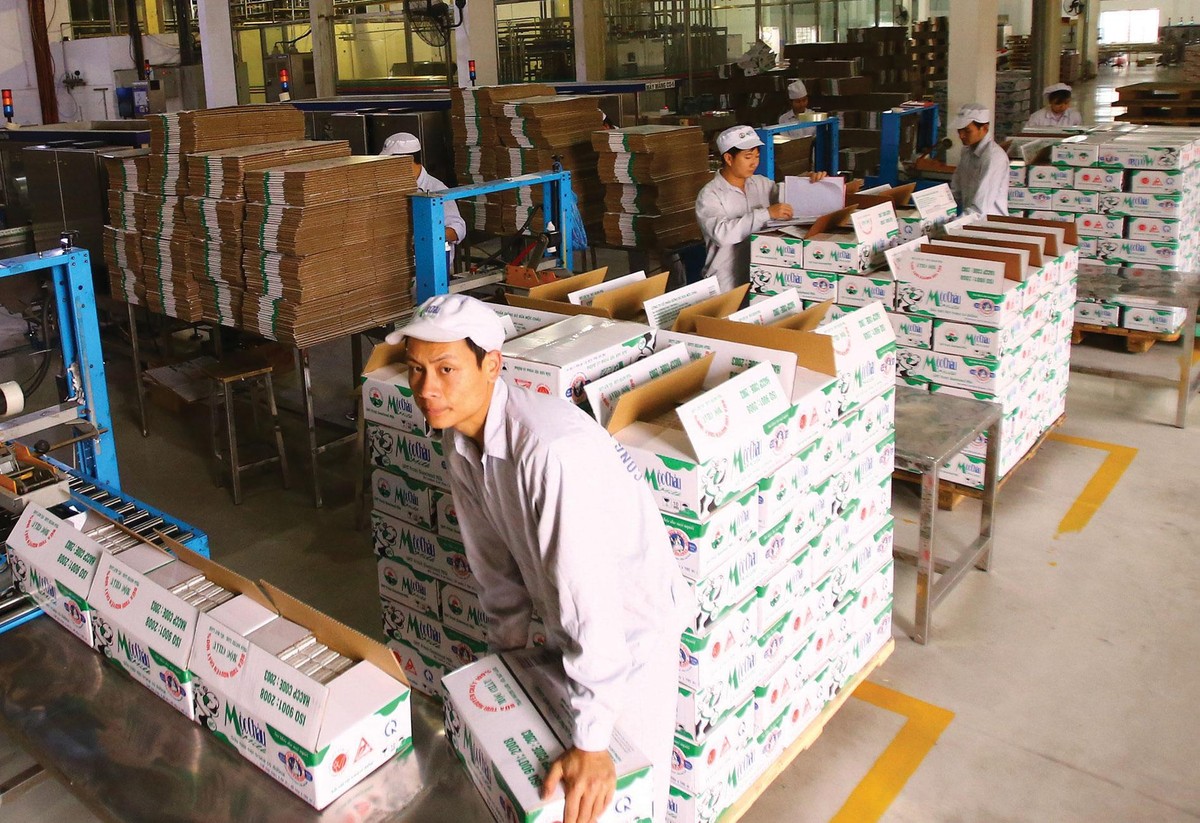 Vinamilk đã từng bước thâu tóm thành công Mộc Châu Milk. Ảnh: Dũng Minh.