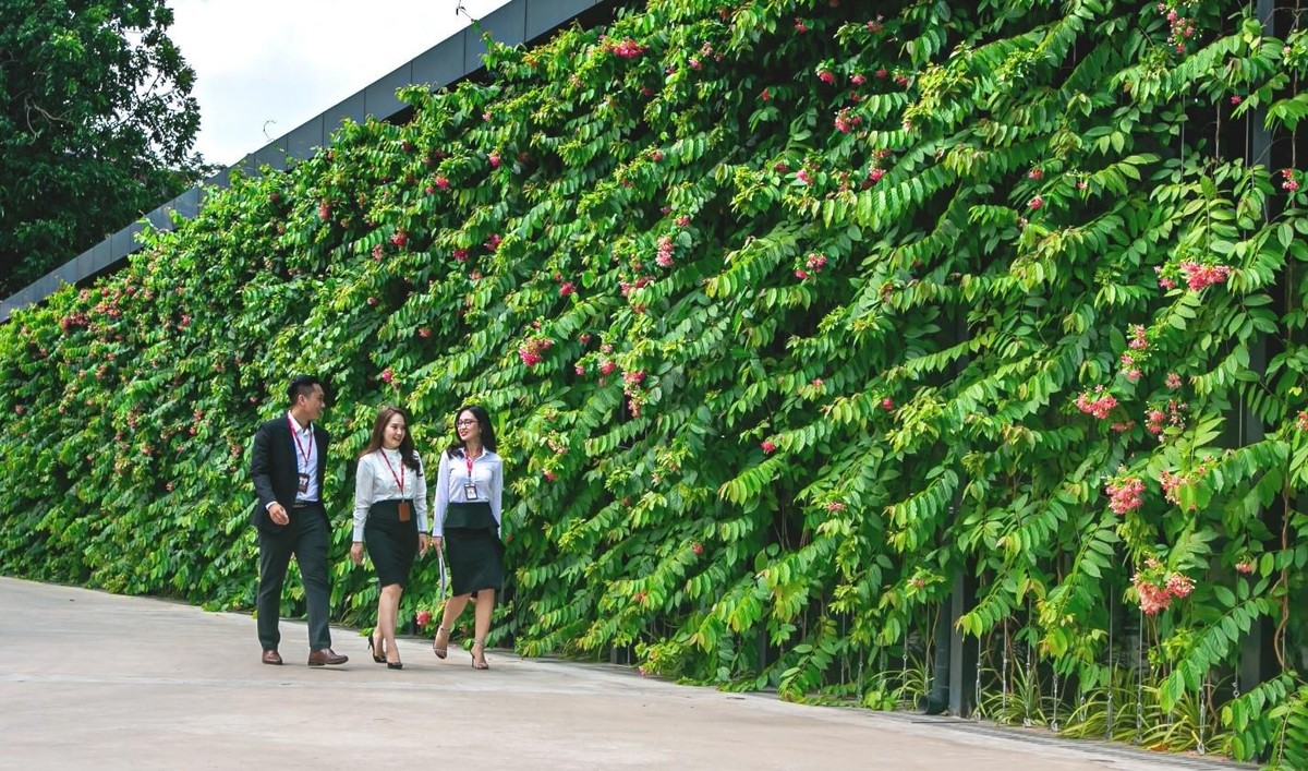 Tại VPS, cơ hội nghề nghiệp luôn rộng mở, sẵn sàng chào đón những thành viên mới gia nhập môi trường làm việc chuyên nghiệp, hướng tới các chuẩn mực quốc tế.