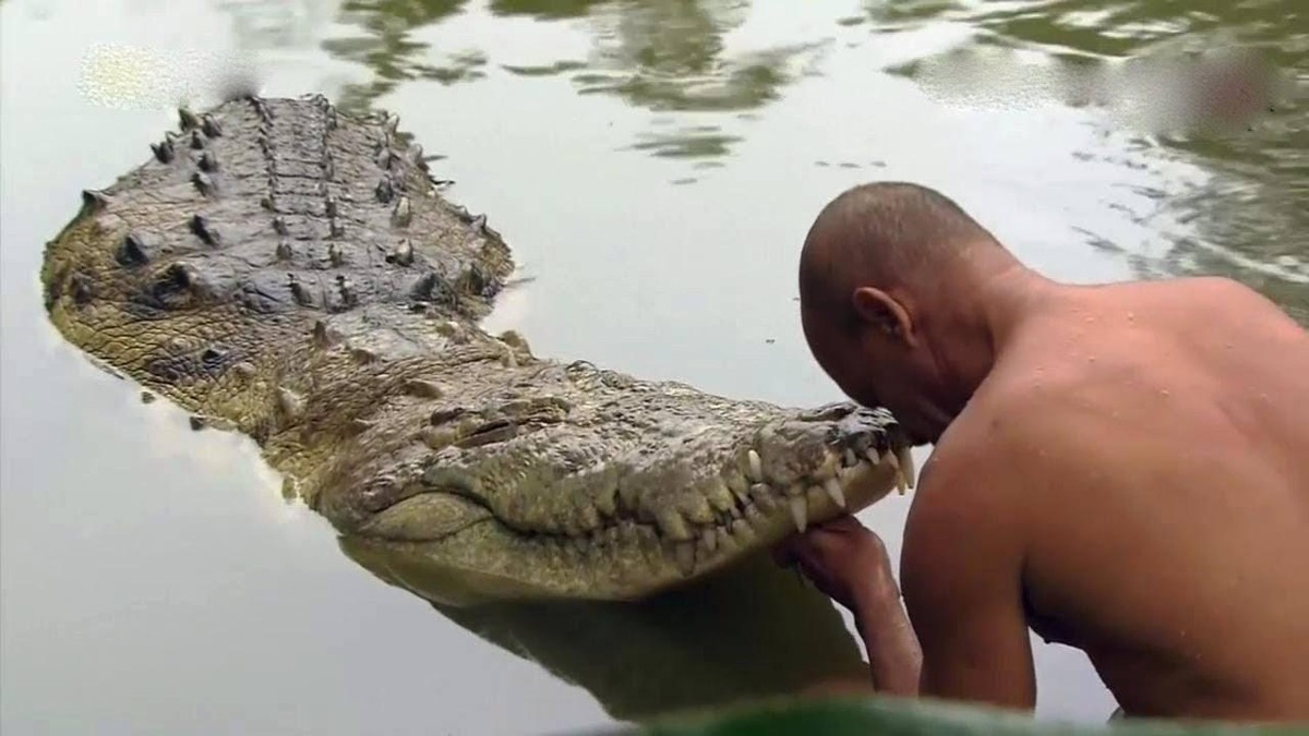 ...Tuy nhiên, không vì điều này mà Shedden bỏ rơi Pacho.