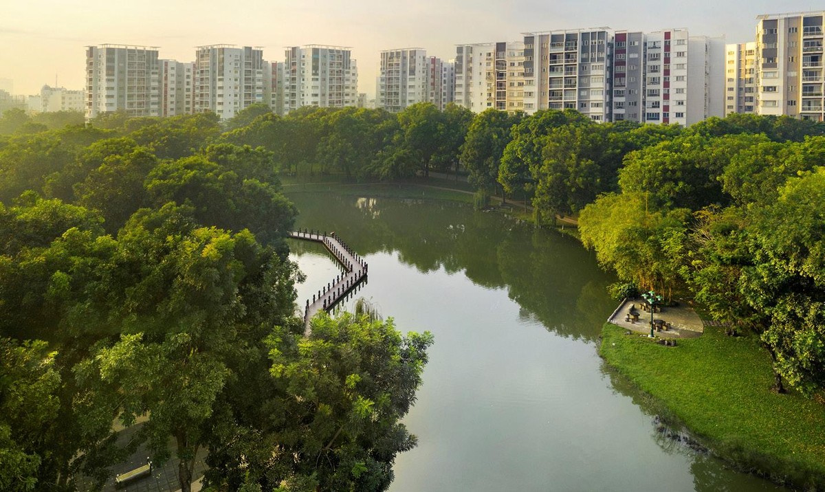Celadon City là một “lá phổi xanh” của TP.HCM, sở hữu một trong những công viên sinh thái lớn nhất thành phố với mật độ đa dạng sinh học vô cùng phong phú.