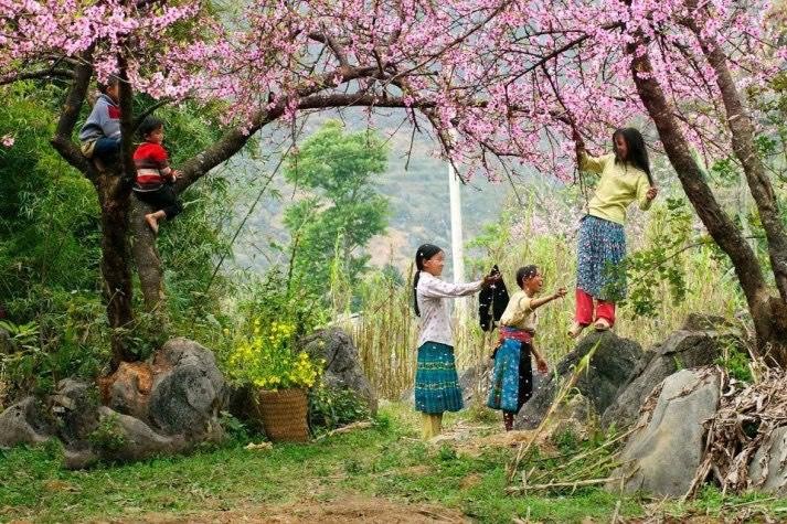 Mùa hoa nở ở Mai Châu (Nguồn: Internet).