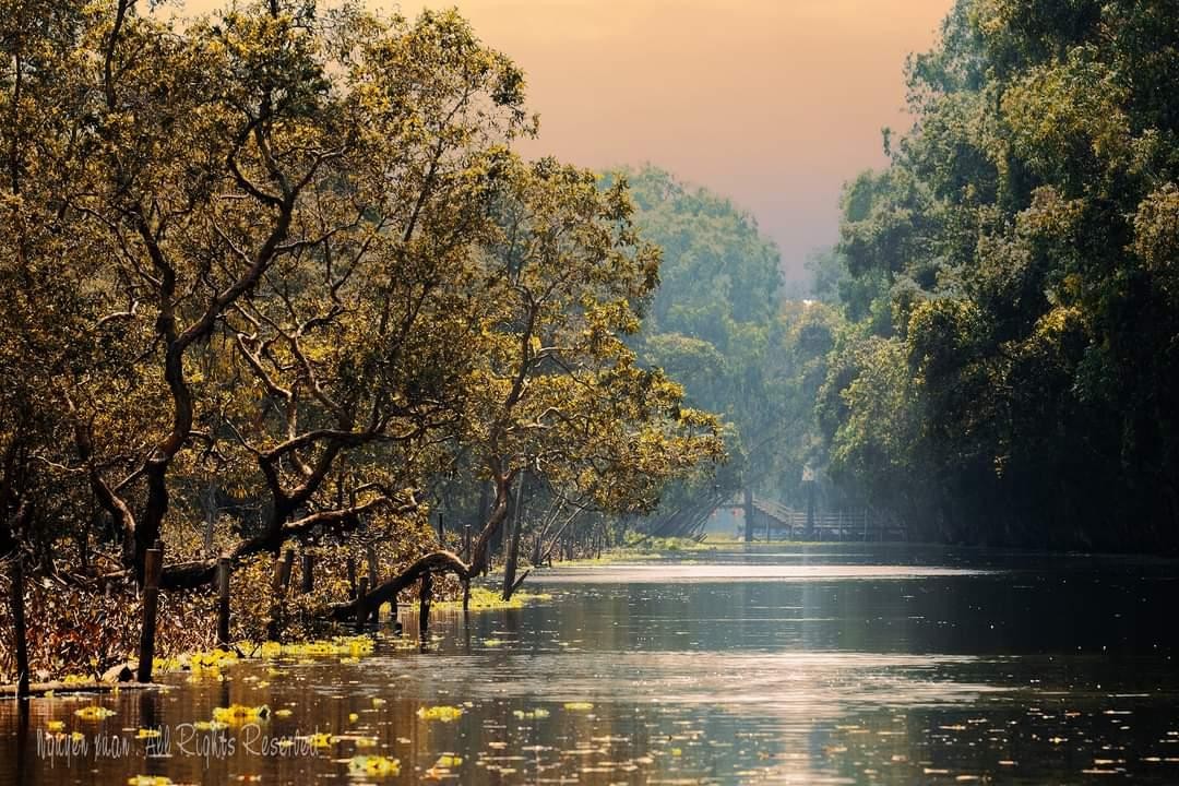 Trà Sư đẹp nên thơ trong ánh hoàng hôn.