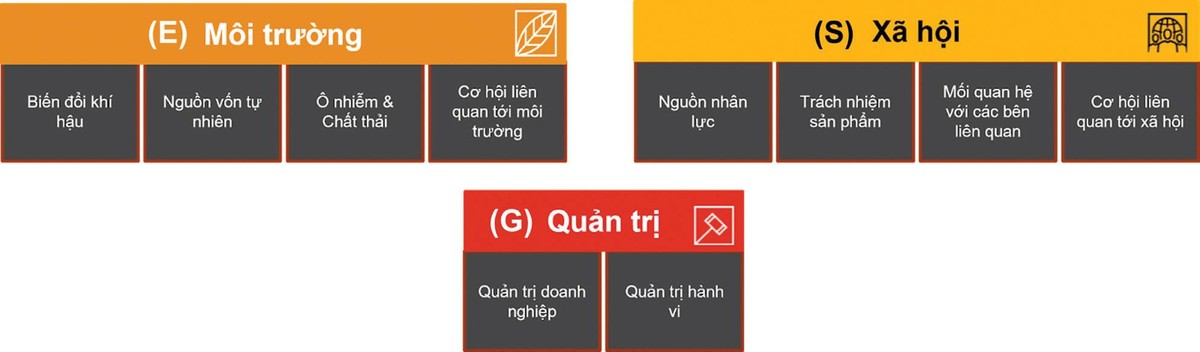 Ba trụ cột của ESG và một số ví dụ về các vấn đề liên quan.