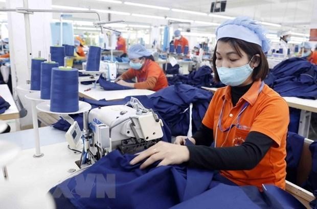 May hàng xuất khẩu sang thị trường Nhật Bản. (Ảnh: Trần Việt/TTXVN).