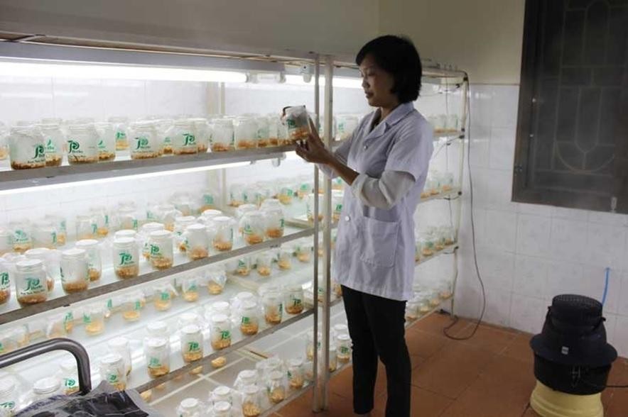 Khoa học công nghệ giúp nhà nông làm giàu trên đồng ruộng.