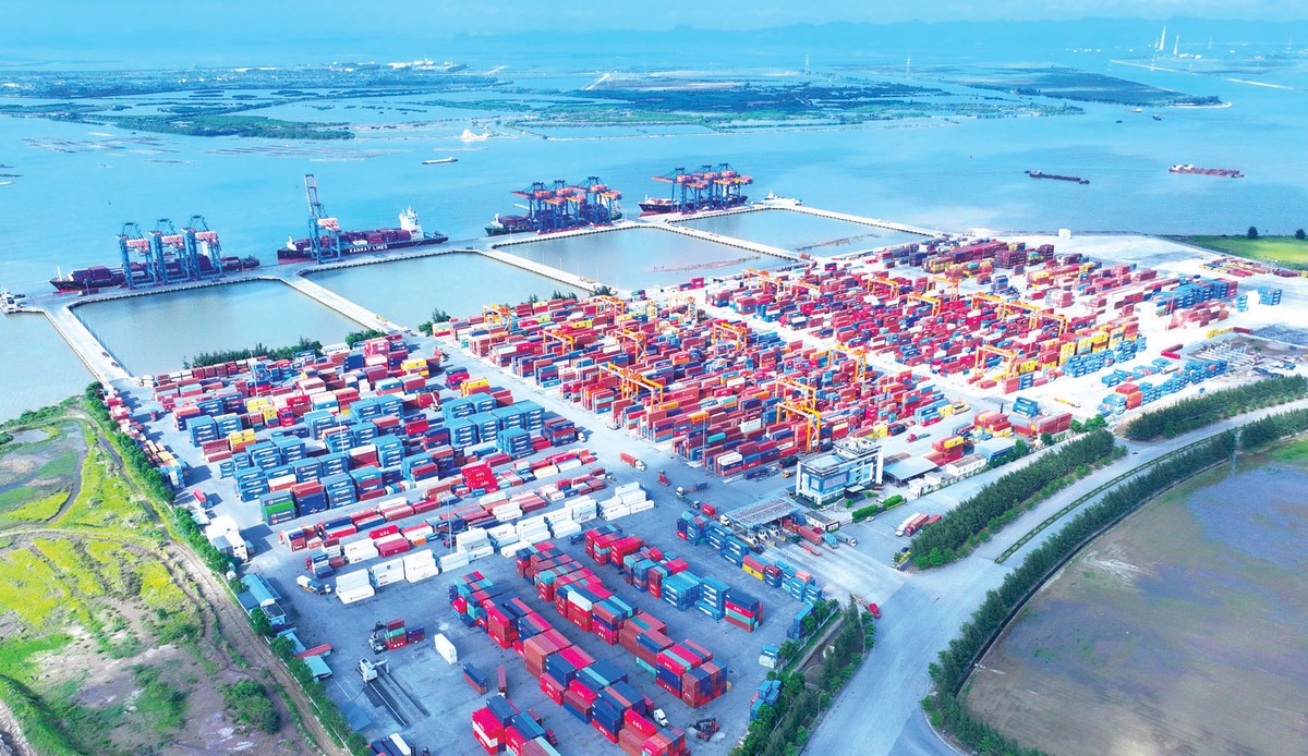 Trung bình mỗi tuần có 18 chuyến tàu ra vào Cảng Nam Đình Vũ, thuộc hệ thống Cảng của Gemadept tại Hải Phòng.